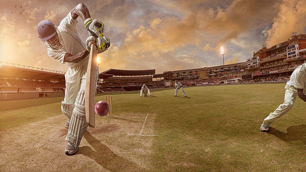क्रिकेट पर निबंध Cricket Essay in Hindi Language
