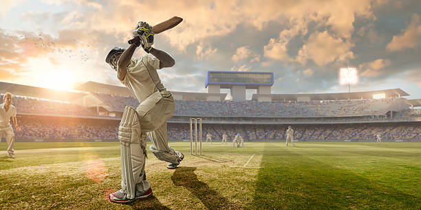 Cricket essay in Hindi Language